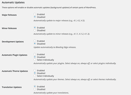 Setting up WordPress automatic updates