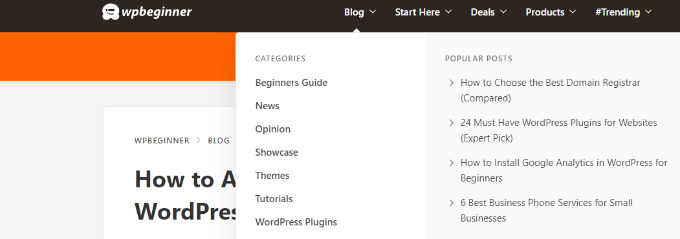 Category menu on WPBeginner