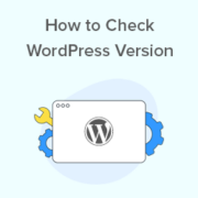 check-wordpress-version-th-1-180x180-1 check wordpress version th 1 180x180 1