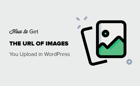 howtogeturlofimagesyouuploadinwordpress