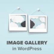 imagegallerywp-180x180-1 How to Create an Image Gallery in WordPress