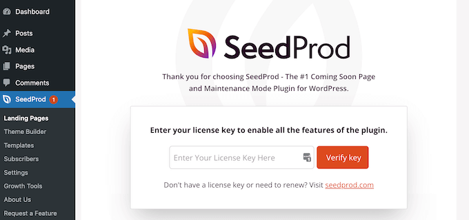 Entering the SeedProd license key Entering the SeedProd license key