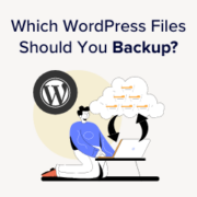 which-wordpress-files-should-you-backup-180x180-1 Which WordPress files should you backup and the right way to do it