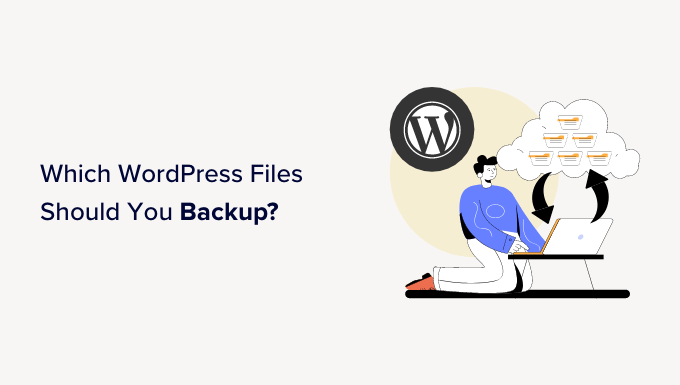 Which WordPress files should you backup and the right way to do it