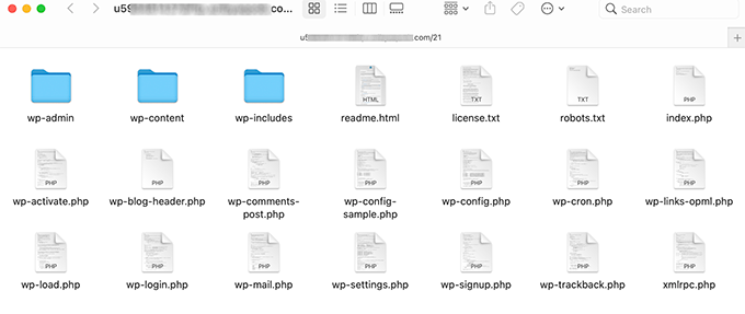 WordPress files and folders