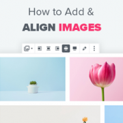 wpalignimages-180x180-1 How to Add and Align Images in WordPress Block Editor (Gutenberg)